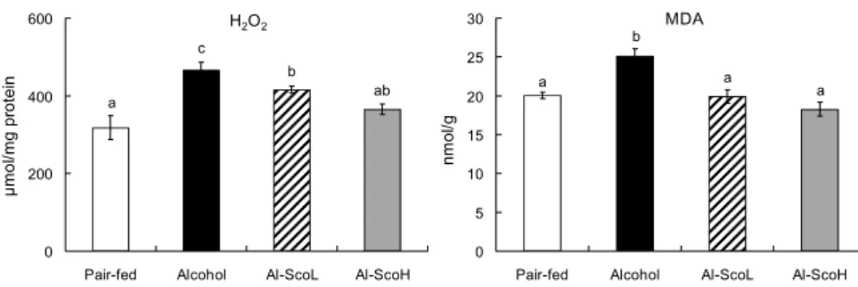 Fig. 5. Effect of scopoletin supplementa- supplementa-tion on hepatic H 2 O 2  and lipid peroxide  concentrations in chronic alcohol-fed rats.