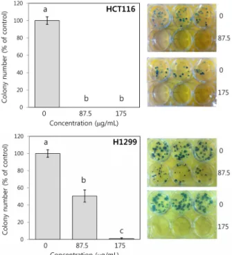 Fig. 3. Effect of PSE on the colony formation of human cancer  cells. HCT116 and H1299 cells were treated with PSE at the  concentrations of 87.5 μg/mL and 175 μg/mL for 14 days
