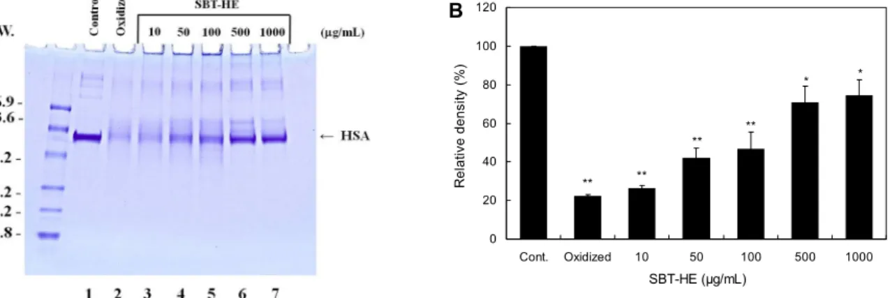 Fig. 5. Protective effects of fermented sea buckthorn leaves with H. erinaceum mycelium (SBT-HE) on oxidative modification  of HSA induced by peroxyl radical