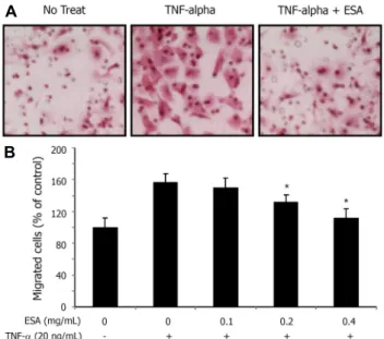Fig. 3. Inhibitory effect of ESA on the ICAM-1 protein levels  in TNF-α induced MDA-MB-231 cells