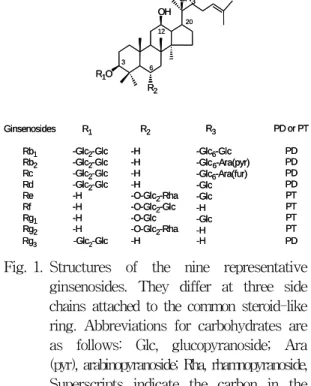 Fig. 1. Structures  of  the  nine  representative  ginsenosides.  They  differ  at  three  side  chains  attached  to  the  common  steroid-like  ring