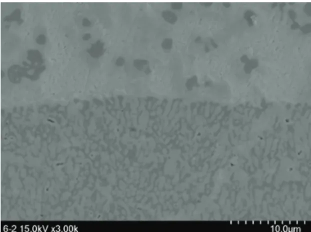 Fig.  2  SEM  image  of  a  sample  3d  printed  with  bi-metal