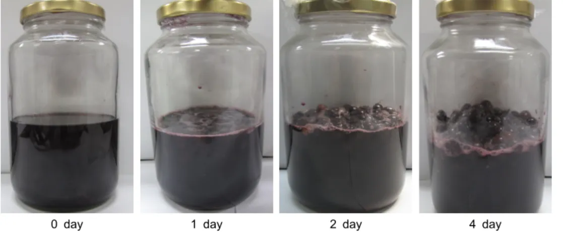 Fig. 1. Appearance of fermen- fermen-ted wild grape extract during 4 days at 25°C.