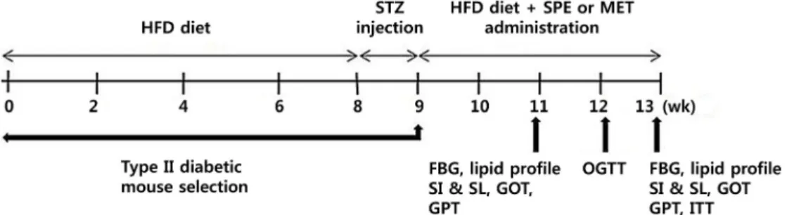 Fig. 1. Schedule for treatment of mice in experiment for 13 weeks.  Type  Ⅱ diabetic mice were divided to 4 groups such as  STD, HFD, HFD+SPE, and HFD+MET