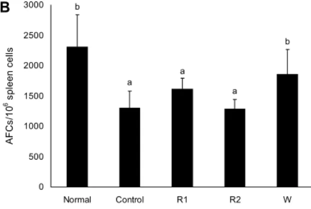 Fig. 4. Antibody forming cells to SRBC in male Balb/c mice  orally administered with 100 mg/kg of R1, R2 or W for 10 days,  respectively