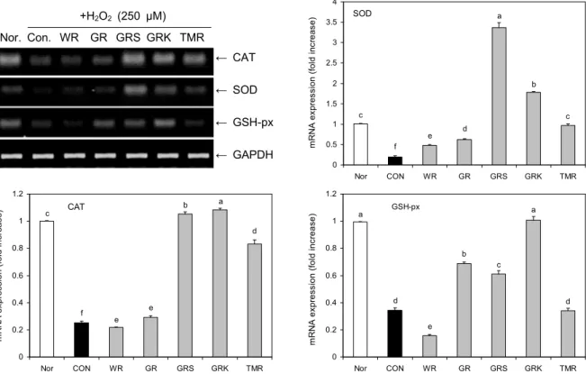 Fig. 4. Effects of extracts from cooked mixed grain rice (100 μg/mL) on mRNA levels of CAT, SOD, and GSH-px in LLC-PK1 cells exposed to hydrogen peroxide (H 2 O 2 )