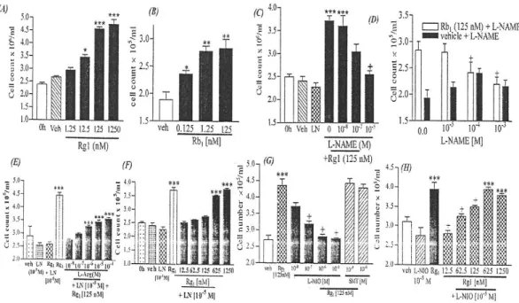 Fig.  3.  Effect  of  Rg1  and  Rb1  on  the  proliferation  of  HUVECs,  after  a  mechanical  injury  to  the  monolayer,  and  modulation  by  NOS  inhibitors
