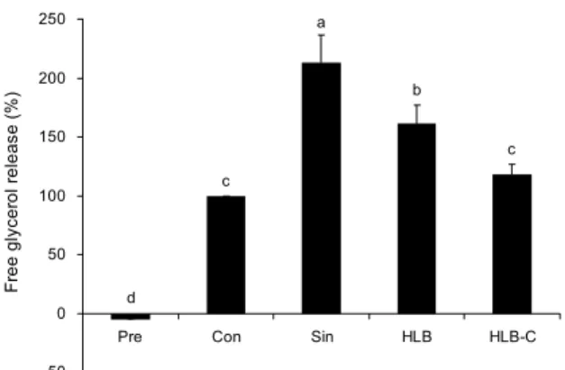Fig. 5. Effect of HLB and HLB-C on lipolytic activity in 3T3-L1 adipocytes. The differentiated 3T3-L1 adipocytes were cultured in the presence or absence of 0.5 mg/mL of Sinetrol, HLB or HLB-C for 24 hr