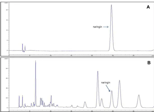 Fig. 2. The HPLC chromatograms of  naringin (A) standard and (B) yuzu  extracts.