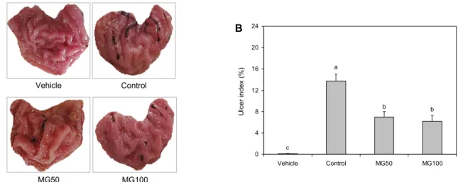 Fig. 1. Effect of mastic gum (MG) on gastric mucosal damage (A) and ulcer index (B) (%, gastric lesion/ total area×100) in  rats treated by ethanol