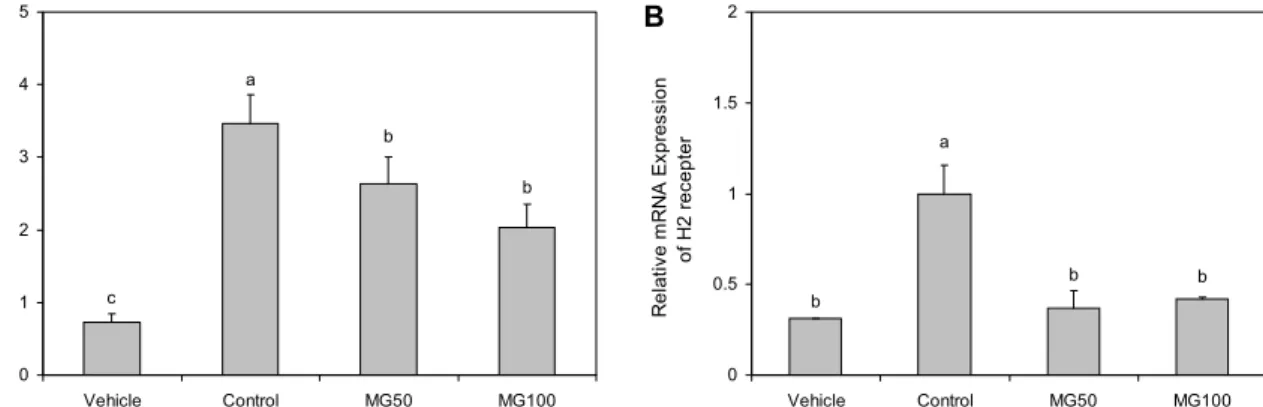 Fig. 3. Effect of mastic gum (MG) on plasma histamine (A) and H2 receptor (B) expression in rats treated by ethanol