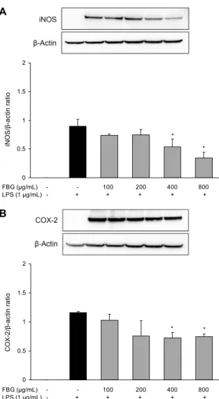 Fig. 3. Inhibition of LPS-induced iNOS and COX-2 expression by fermented black garlic