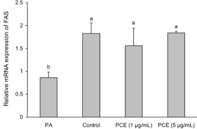 Fig. 5. Effect of pine cone extracts on expression of fatty acid synthase in 3T3-L1. Cell were treated pine cone extract for 2 days after inducing differentiation with medium containing  adi-pogenic cocktail for 9 days