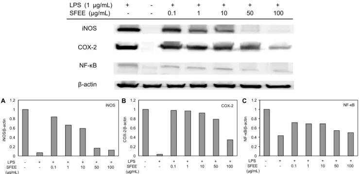 Fig. 3. Effect of SFEE on LPS-induced iNOS (A), COX-2 (B), and NF-κB (C) expression in RAW 264.7 cells