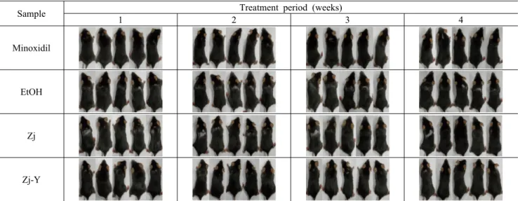 Fig. 3. Changes of hair growth under spontaneous alopecia model of C57BL/6 mice. Abbreviations for samples are shown in Fig.