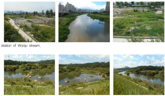 Fig. 1.  Location  map  of  the  study  station  of  Wonju  stream. 