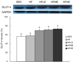 Fig. 1.  Citrate synthase activity in plantaris muscle. SED, seden- seden-tary control group; HF, high fat diet group; HFLE, high fat  di-et+low-intensity exercise group; HFME, high fat  diet+moder-ate-intensity exercise group; HFHE, high fat diet+high-int