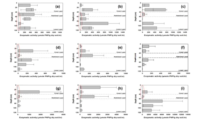 Fig. 2.  The  quantification  of  β-glucosidase  activity  from  the  (a)  P1  (b)  P2  (c)  P3  of  Pungjeong  mine  samples,   (d)  P1  (e)  P2  (f)  P3  of  Jeomdong  mine  samples,   (g)  P1  (h)  P2  (i)  P3  of  Seosung  mine  samples.