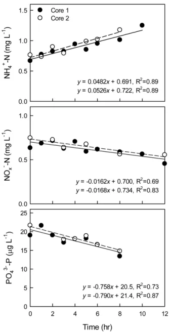 Fig. 2.  Representative  time  evolution  of  the  concentration  of  dissolved  inorganic  nutrients  in  overlying  water  under  the  conditions  of  pre-incubation  time  within  6  hours,  incubation  temperature  of  17℃,  the  0.6-0.8  mm-thick  dif