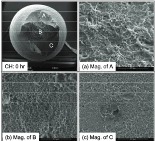 Fig.  9  Fractured  surface  of  304L  stainless  steels  without  the  hydrogen  charging.