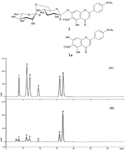 Fig. 2. Structure of pectolinarin (1, C 29 H 34 O 15 ,  MW 622.58) and pectolinarigenin (1a, C 17 H 14 O 6 ,  MW 314.29) obtained from Cirsium  setidens  (31)