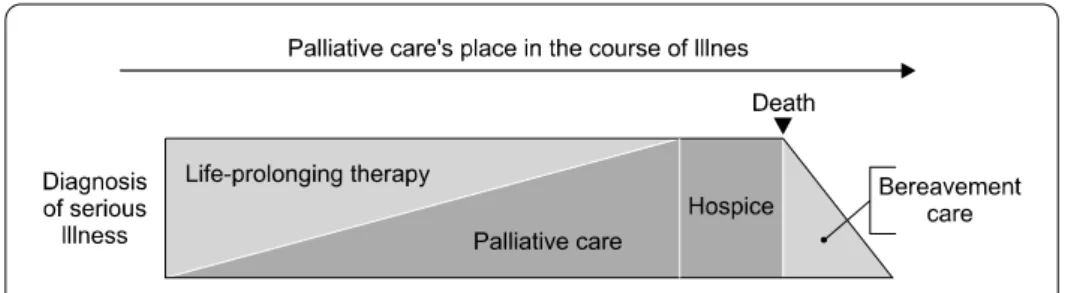 Figure  1.  Model  of  palliative  and  hospice  care.