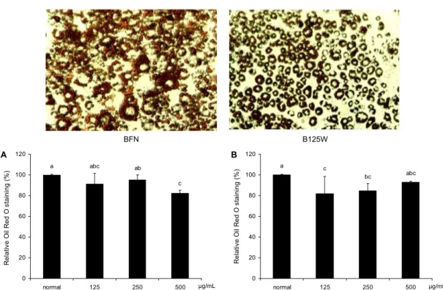 Fig. 2. Effects of various concentration of Salicornia herbacea L. water extract on lipid accumulation during adipogenesis in 3T3-L1 adipocytes