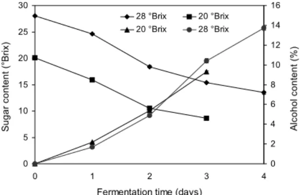 Fig. 2. Changes in sugar content and alcohol content during  alcohol fermentation. Values are means±SD (n=3).