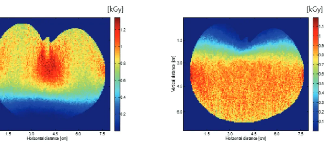 Fig.  4  Dose  distribution  of  a  peach  at  10  MeV  double  electron  beam.