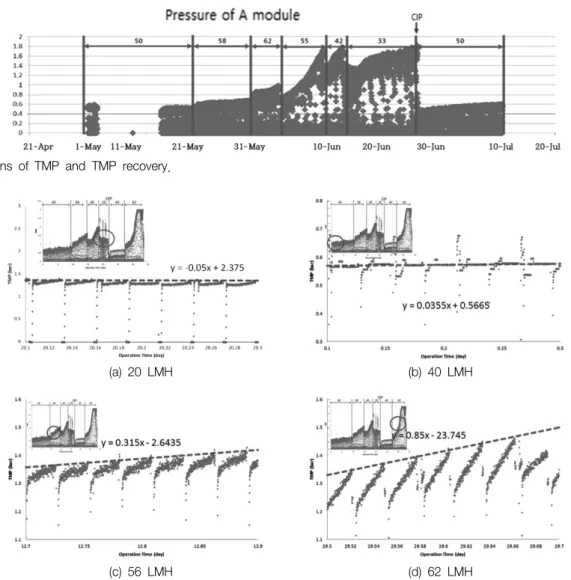 Fig. 4.  Variations  of  TMP  from  dp/dt  at  LMH.
