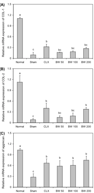 Fig. 7. Genetic expression of catabolic factors in MIA rat articu- articu-lar cartilage
