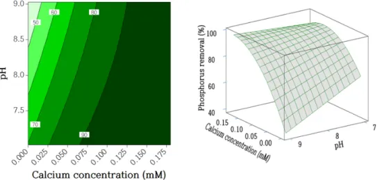 Fig. 4.  Two-dimensional  contour  plots  and  three-dimensional  contour  plots  of  the  quadratic  model  for  phosphorus  removal  with  respect  to  calcium  concentration  and  initial  pH  within  the  design  boundaries.