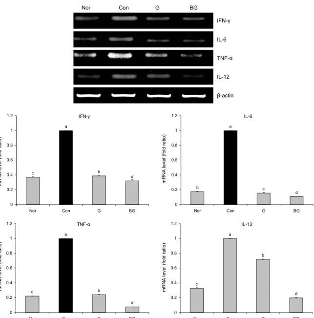 Fig. 2. Effects of ginger extracts on mRNA expression of IFN-γ, IL-6, TNF-α, and IL-12 in DSS-treated colitis Balb/c mice