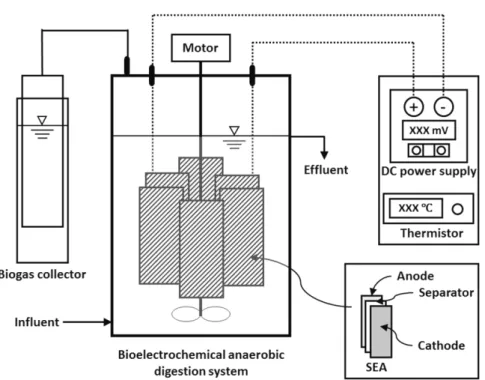 Fig. 1.  Schematic  diagram  of  bioelectrhocmeical  anaerobic  digester  and  SEA.기성소화에 활용할 수 있다