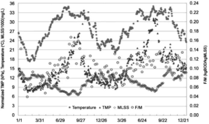 Fig. 6.  The  characteristics  of  TMP  during  2  yrs.