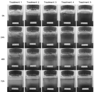 Table  3.  Total  saponin   content/g  in  each  part  of  aloe  leaf 