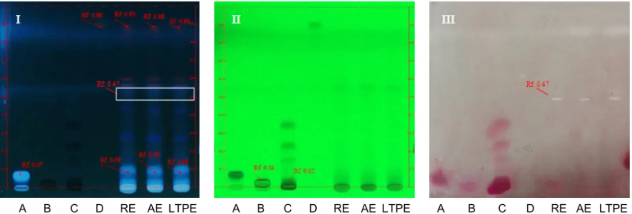 Fig. 2. Screening of 70% ethanol extracts of Portulaca oleracea with different extraction methods using TLC assay method