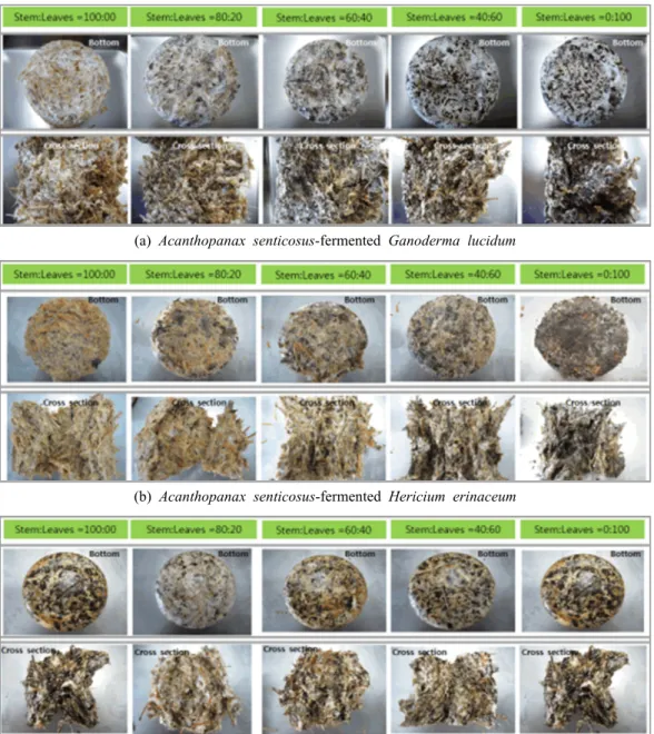 Table 4. Mycelium density by mixing condition in culture pot (∮60 mm, 500 mL)