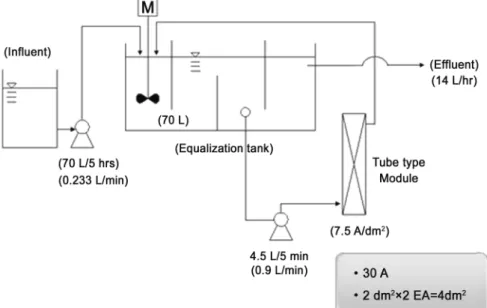 Fig. 2.  Flow  diagram  of  bench  scale  tube  type  electrolysis  module  system  using  recirculation.형 전해모듈 시스템의 설계 특성을 평가하기 위하여 다음과 같은 실험을 수행하였다