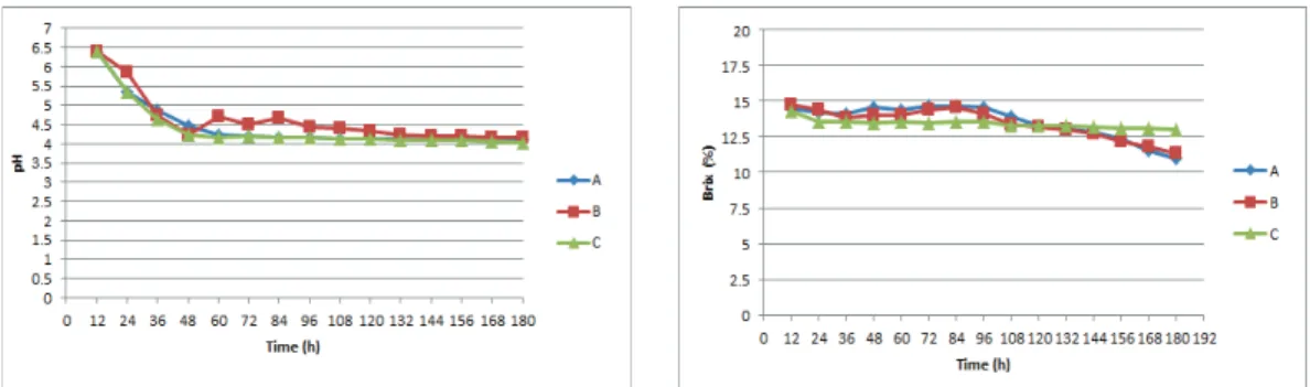 Fig.  10  15  Brix  pH  and  Brix  value  depend  on  fermentation  time 