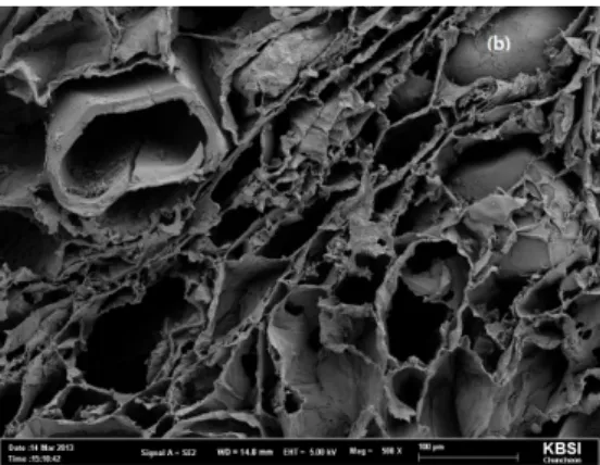 Fig. 2. Scanning electron microphotographs of the surface of  Vaccinium ashei after treating high pressure process for 5  min-utes, 15 minutes and only water extract