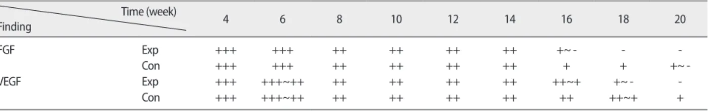 Figure 5. Change of FGF &amp; VEGF positive cells after dressing on experimental pressure ulcer