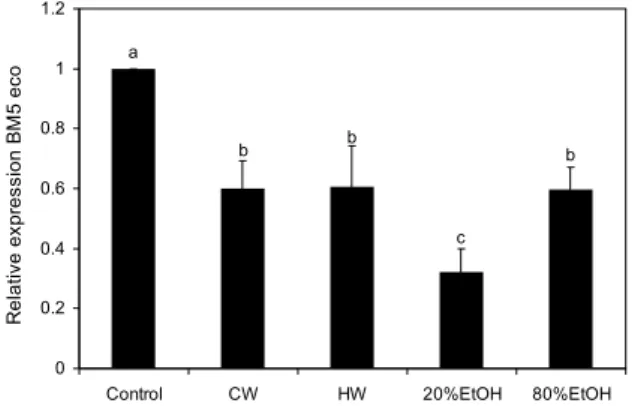 Fig. 5. Effects of fermented Curcuma longa L. (FCL) extracts  on the NK cell activity by splenocyte
