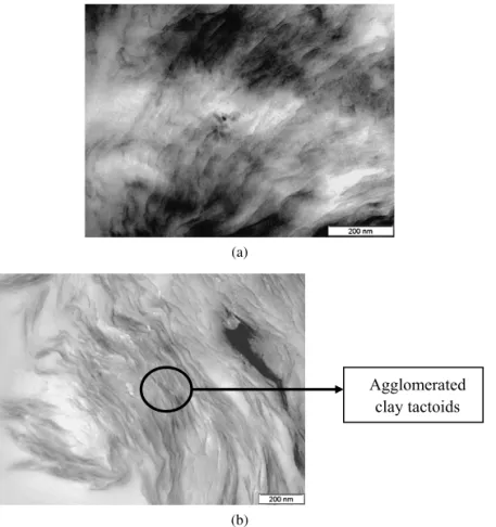 Figure 7. TEM images of (a) 1 wt% and (b) 3 wt% nanocomposites produced by the DMT.