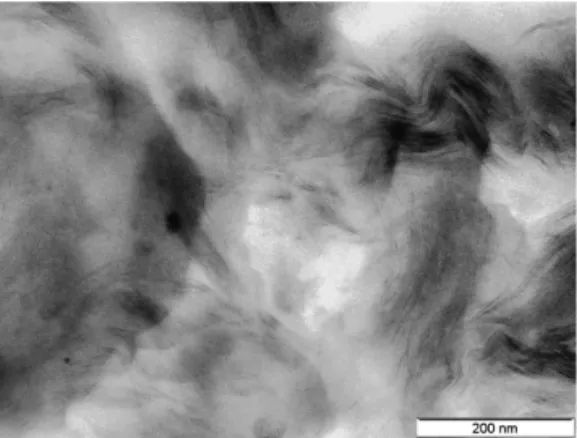 Figure 8. TEM image of 1 wt% nanocomposites produced by the HSMT.