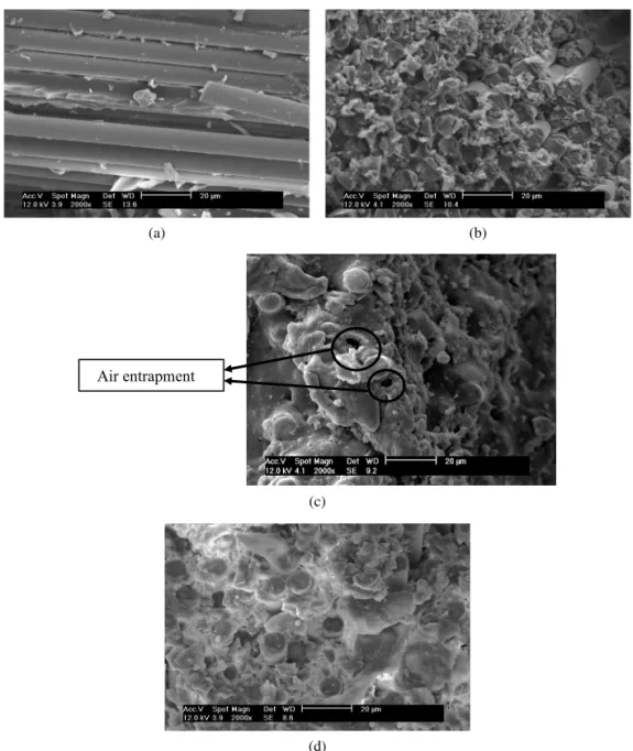 Figure 9. Tensile fracture micrographs of (a) pristine SGRP, (b) SGRP with 1 wt% clay, (c) S-GRP