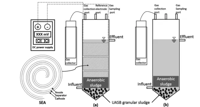 Fig. 1.  Schematic  diagram  of  (a)  UABE  and  SEA,  (b)  UASB  reactor.