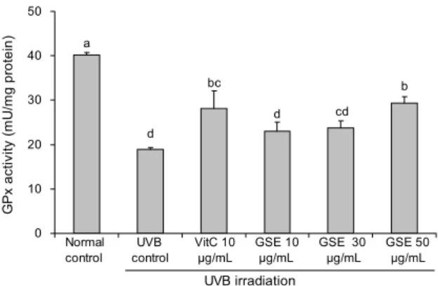 Fig. 5. Effects of green tea seed extract (GSE) on superoxide dismutase activity against UVB-irradiated human skin  fibro-blasts