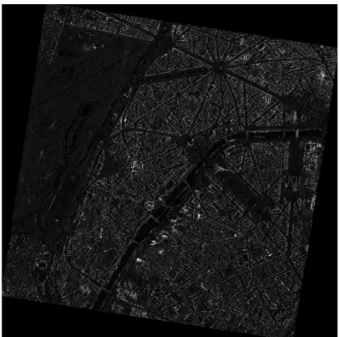 그림 7. KOMPSAT-5 Image (France, Paris)