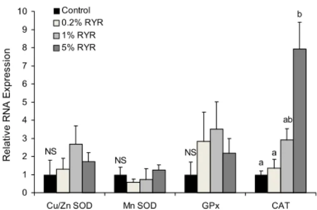 Fig. 1. Relative mRNA expression of the hepatic antioxidant enzymes in rats fed red yeast rice (RYR) with hypercholesterolemic diet for 4 weeks